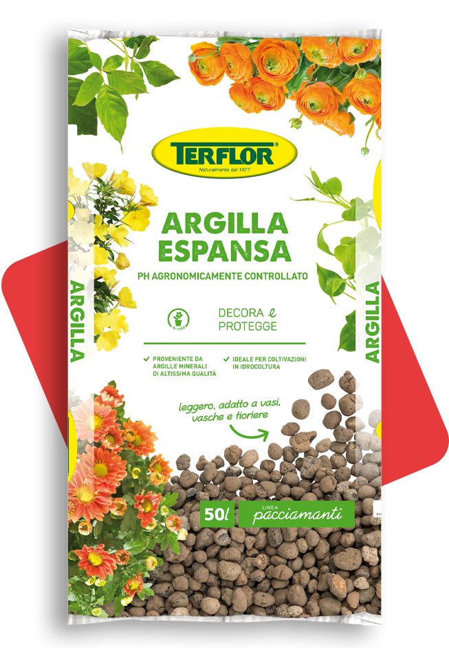 ARGILLA ESPANSA - Doctor Garden Shop