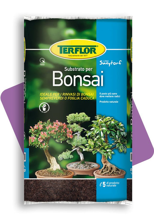 BONSAI - Doctor Garden Shop