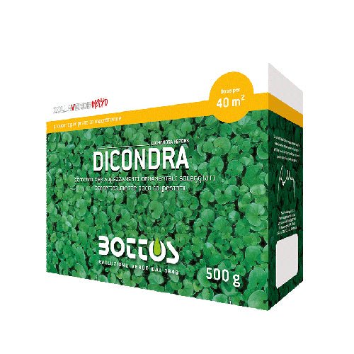DICONDRA - Doctor Garden Shop